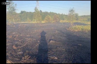 Een verbrande grond met schaduwen van bomen op de achtergrond.
