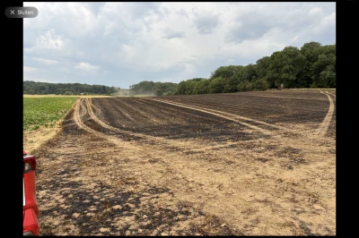 Zicht op een verbrand veld met sporen van landbouwvoertuigen en een bos in de achtergrond.