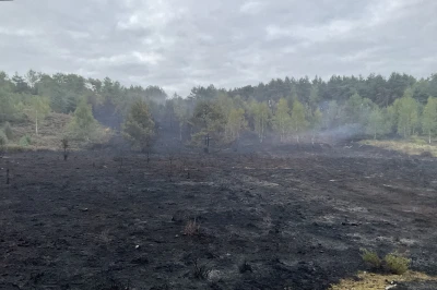 Zicht op een afgebrand gebied met verspreide rook en enkele groene bomen op de achtergrond.