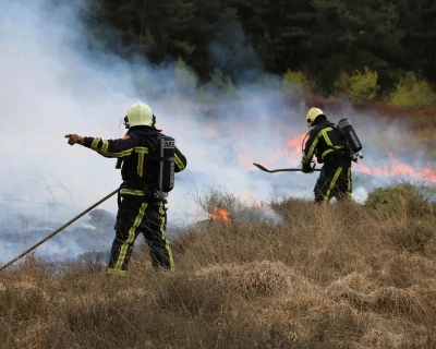 Brandweermensen blussen heide in een rookvolle omgeving.